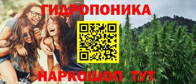 a pvp Славянск-на-Кубани