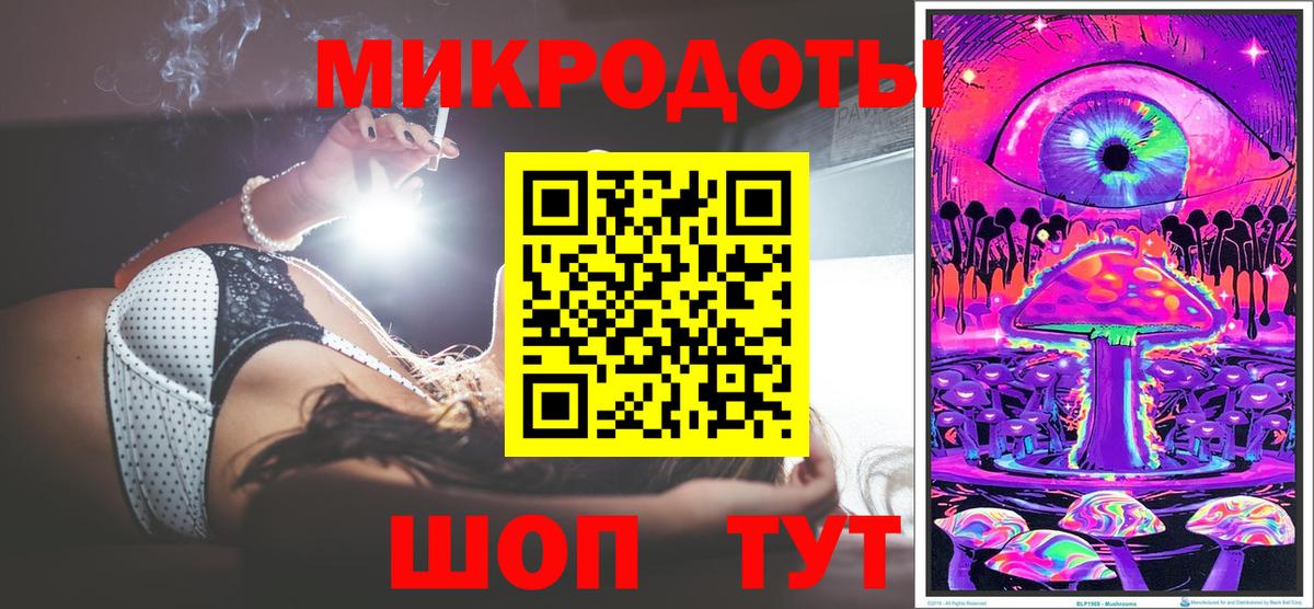 Псилоцибиновые грибы Psilocybine cubensis Новокубанск