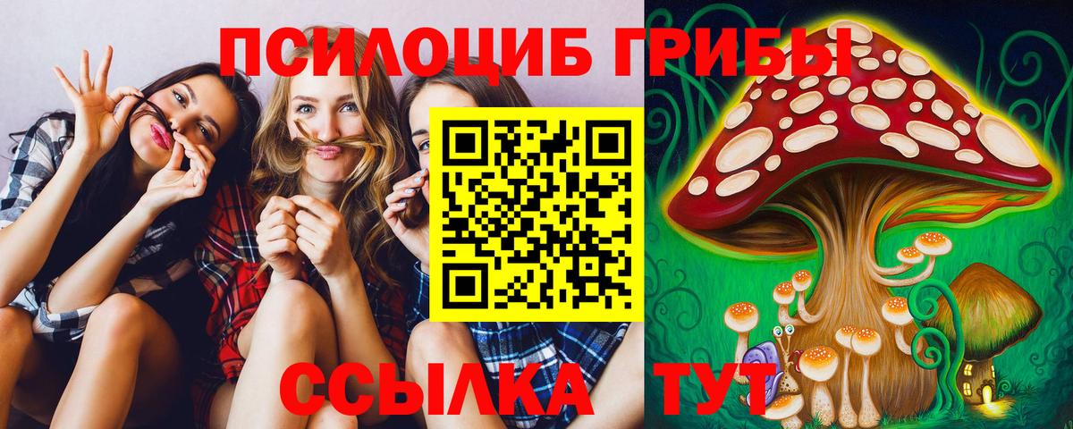 Псилоцибиновые грибы прущие грибы  Вход с VPN  Новокубанск 